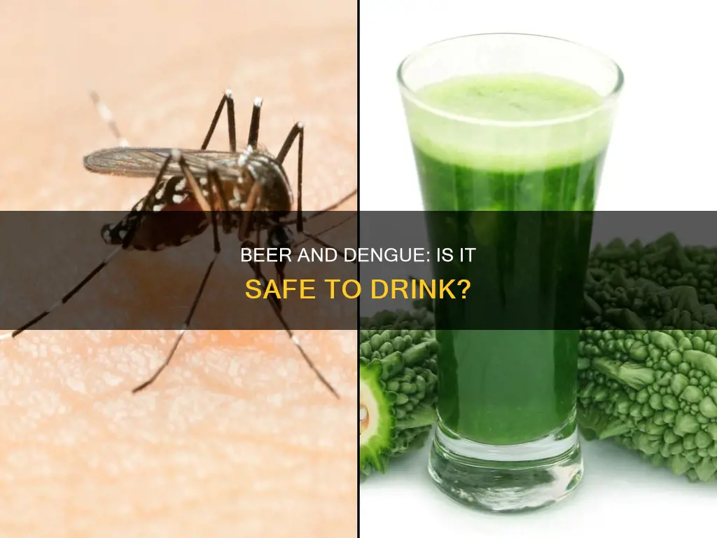 can we drink beer in dengue fever