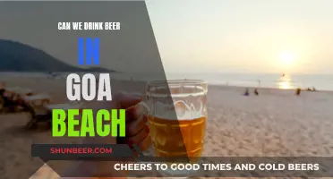 Goa's Beachside Beer Drinking - What's the Deal?