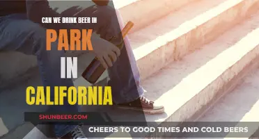 Drinking Beer in California Parks: What's Allowed?