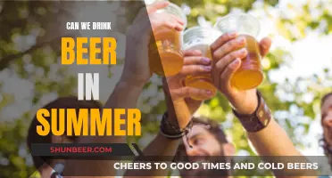 Beer in Summer: Should You Drink It?