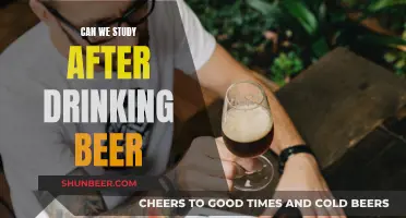 Beer and Studying: Mixing Alcohol and Academic Success?