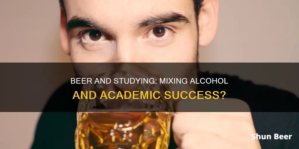 can we study after drinking beer