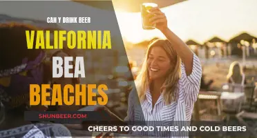 California Beach Beer Drinking: What's Allowed?