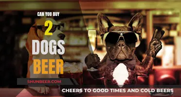 Should You Give Your Dogs Beer?