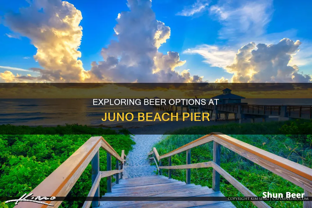 can you buy a beer at the juno beach pier