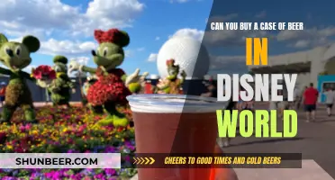 Beer in Disney World: Can You Buy Cases?