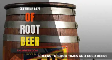 Where to Buy a Keg of Root Beer?