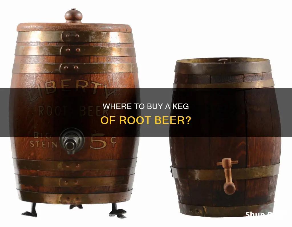 can you buy a keg of root beer