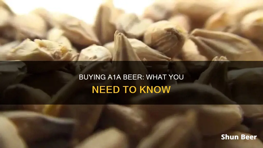 can you buy a1a beer