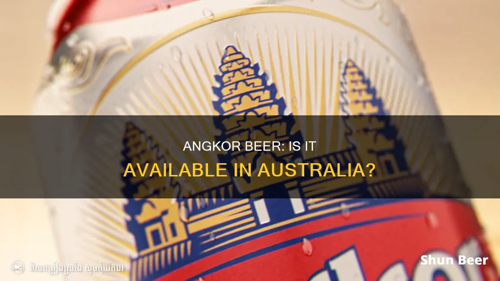 can you buy angkor beer in australia