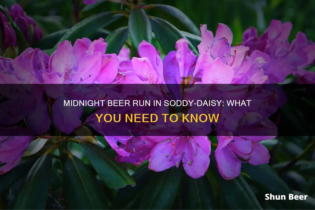 can you buy beer after midnight in soddy daisy