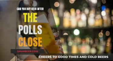 Beer and Ballot: Post-Voting Brews