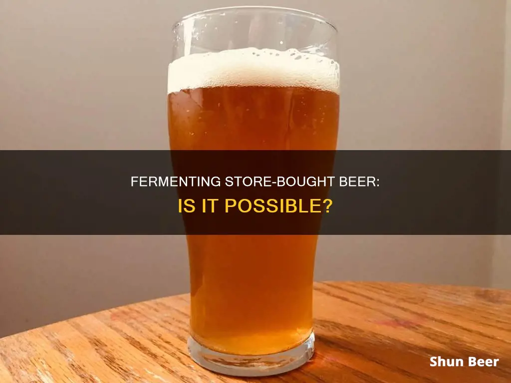 can you buy beer and ferment it