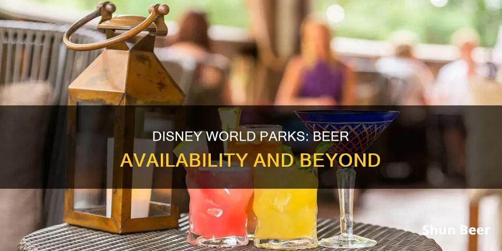 can you buy beer at all disney world parks