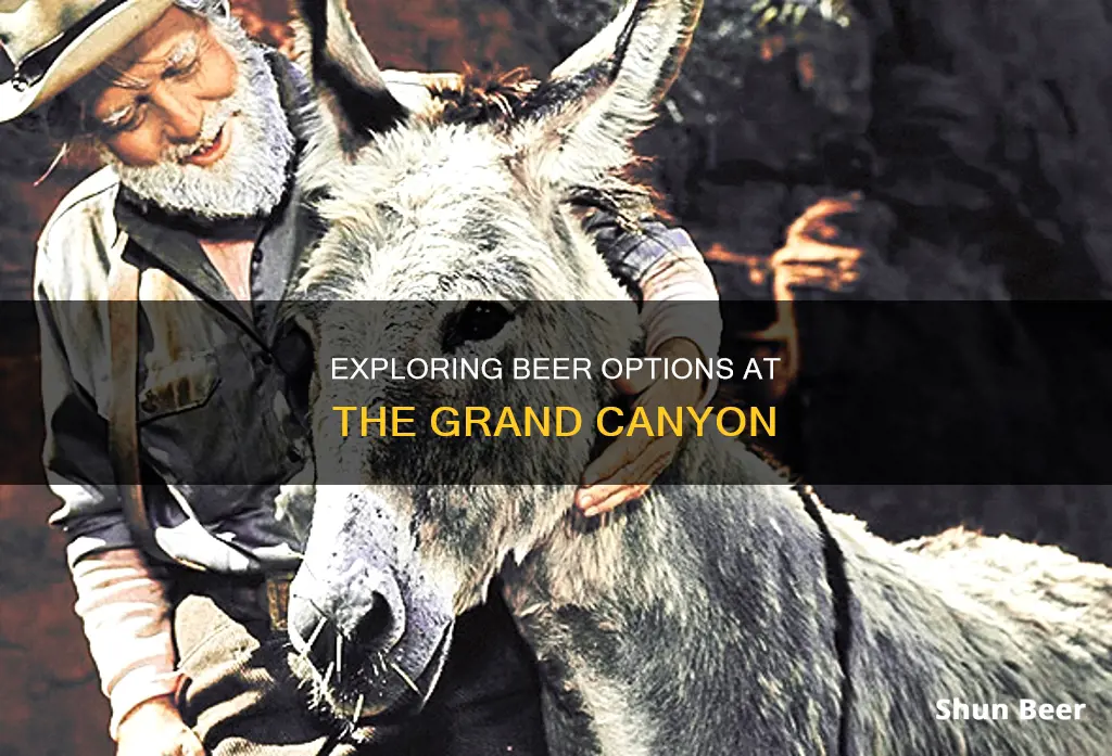 can you buy beer at the grand canyon