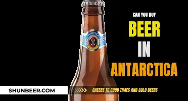 Buying Beer in Antarctica: Is It Possible?