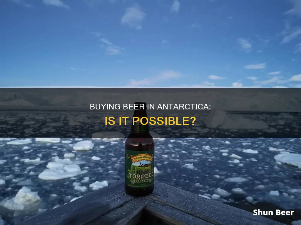 can you buy beer in antarctica