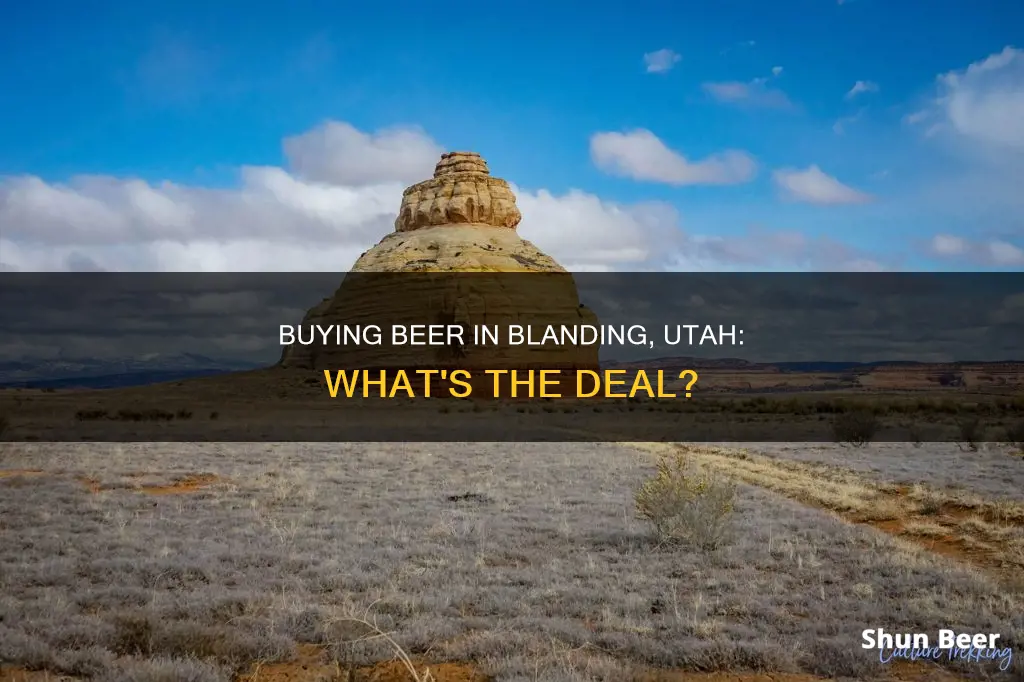 can you buy beer in blanding utah