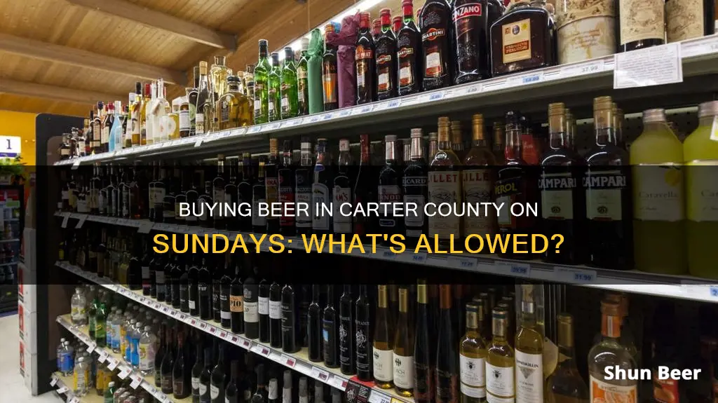 can you buy beer in carter county tb on sunday