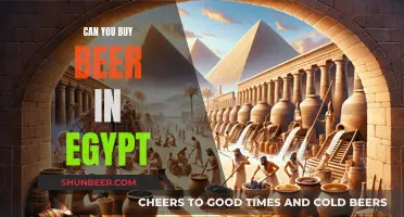 Buying Beer in Egypt: What's the Deal?