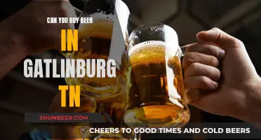 Gatlinburg, TN: Beer Buying and Drinking Laws Explained