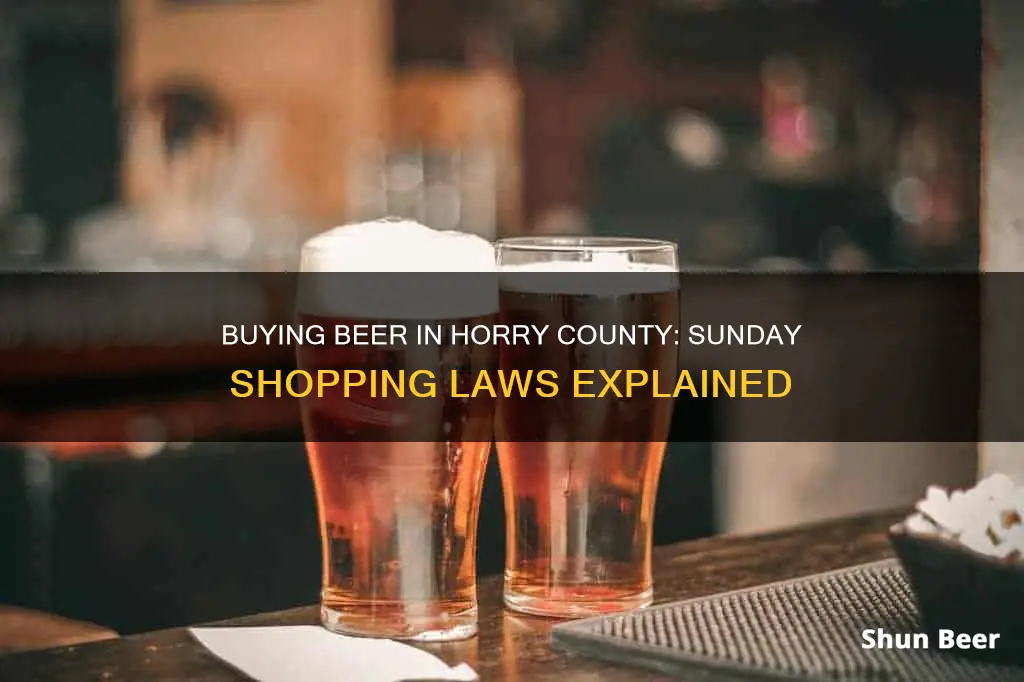 can you buy beer in horry county on sunday