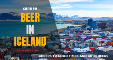 Buying Beer in Iceland: What's the Deal?