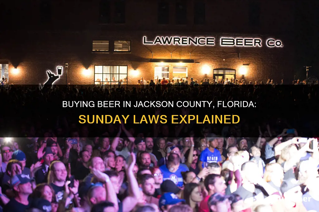 can you buy beer in jackson county florida on sunday