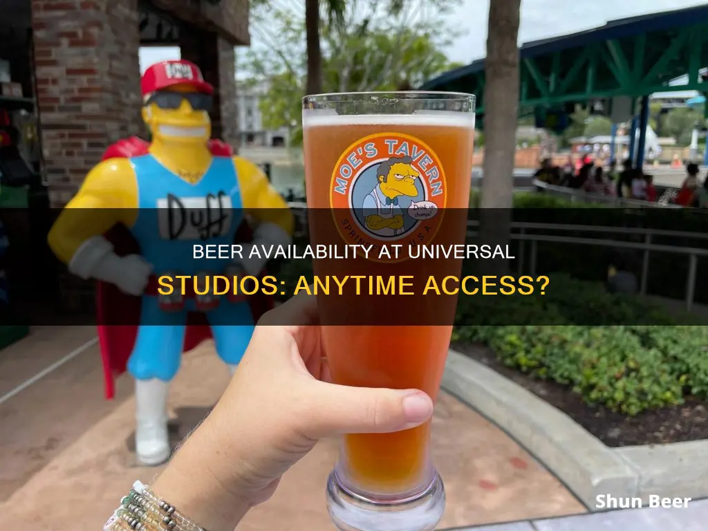 can you buy beer whenever at universal studios