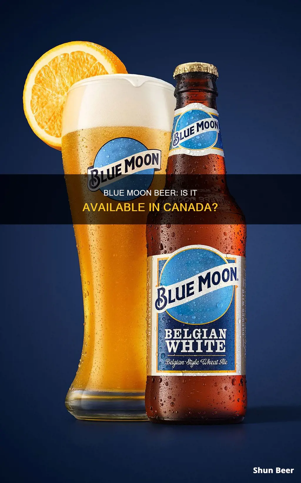 can you buy blue moon beer in canada