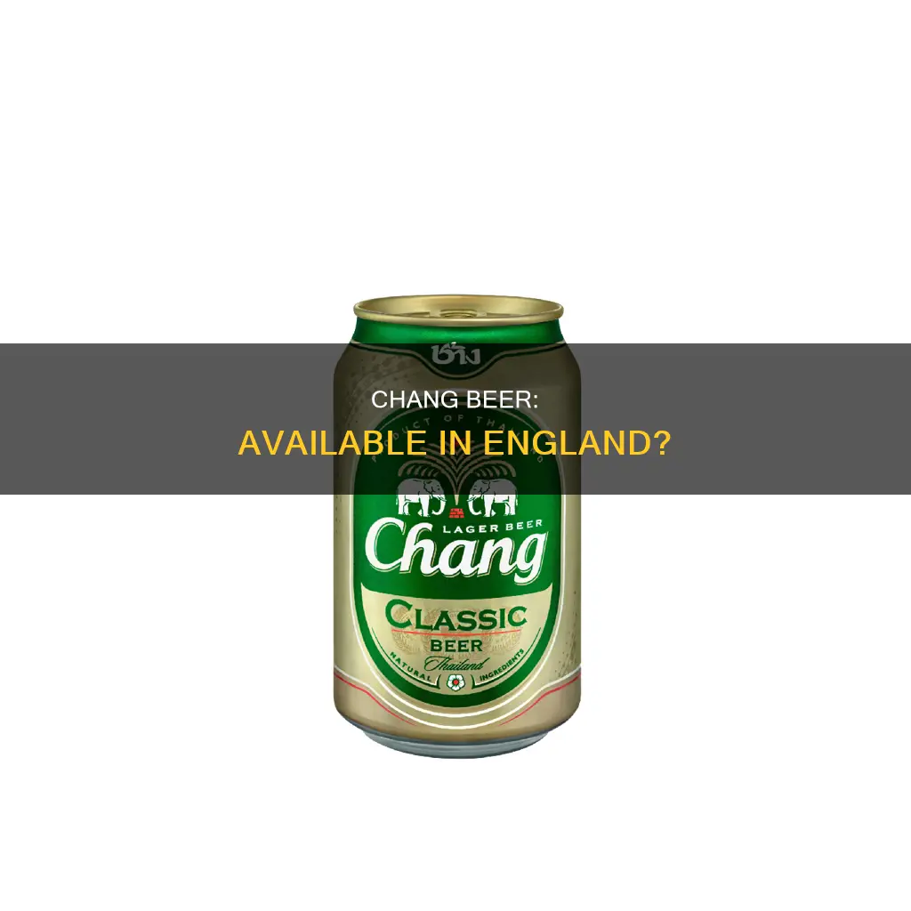 can you buy chang beer in england