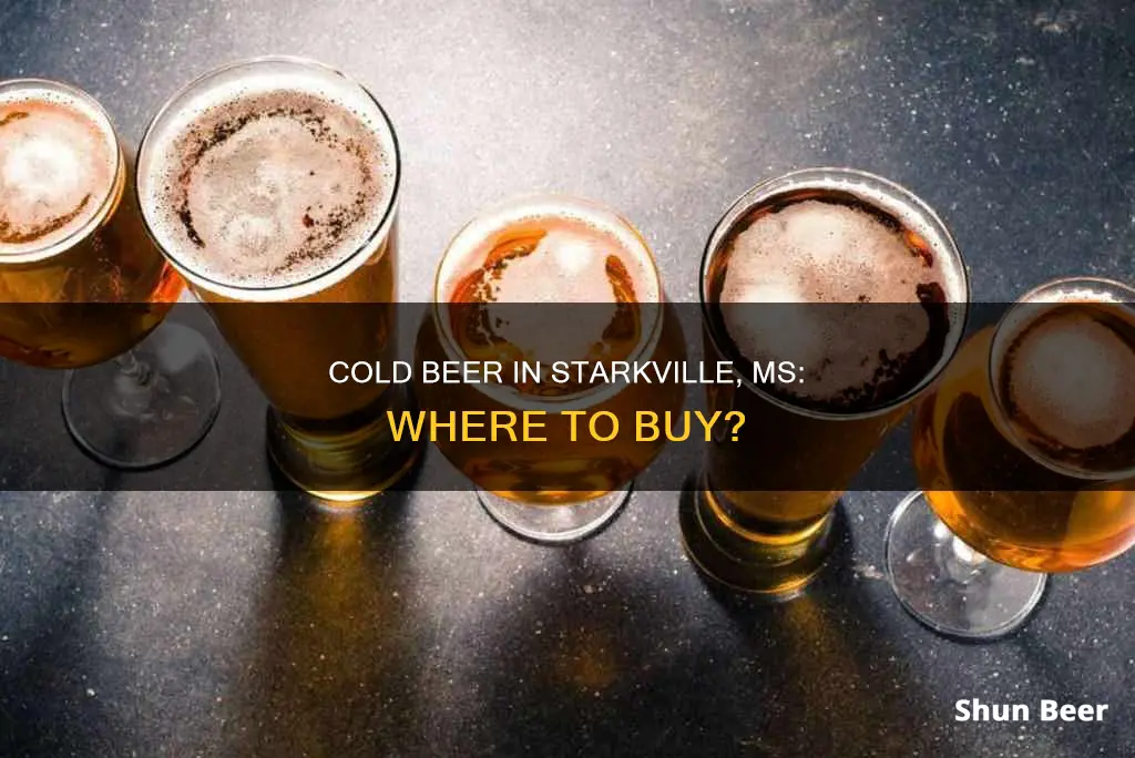 can you buy cold beer in starkville ms