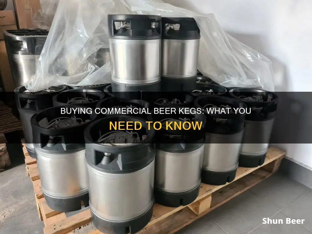 can you buy commercial type beer kegs