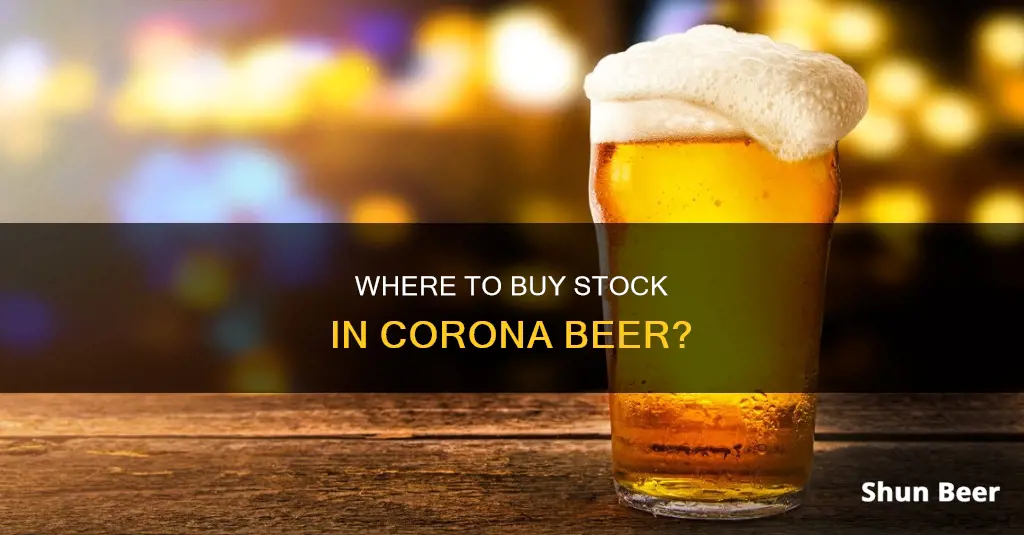 can you buy corona beer stock