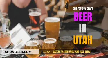 Craft Beer in Utah: Where to Buy?