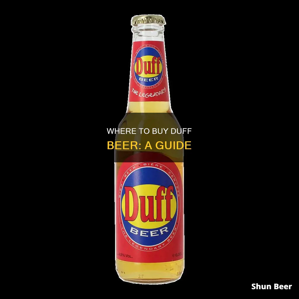 can you buy duff beer