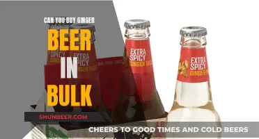 Where to Buy Ginger Beer in Bulk?