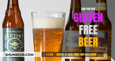 Gluten-Free Beer: Where to Buy and What to Know