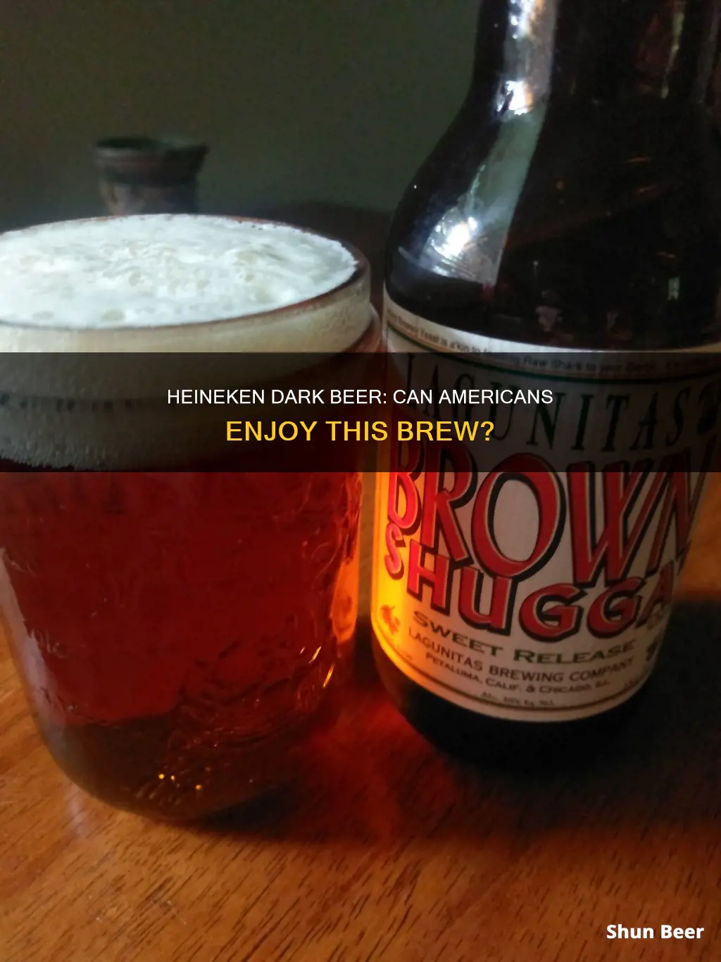 can you buy heiniken dark beer in usa