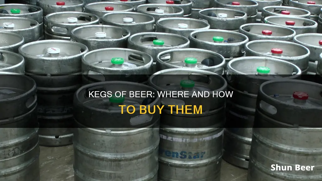 can you buy kegs of beer