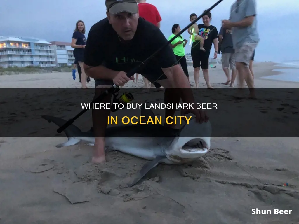 can you buy landshark beer in ocean city maryland