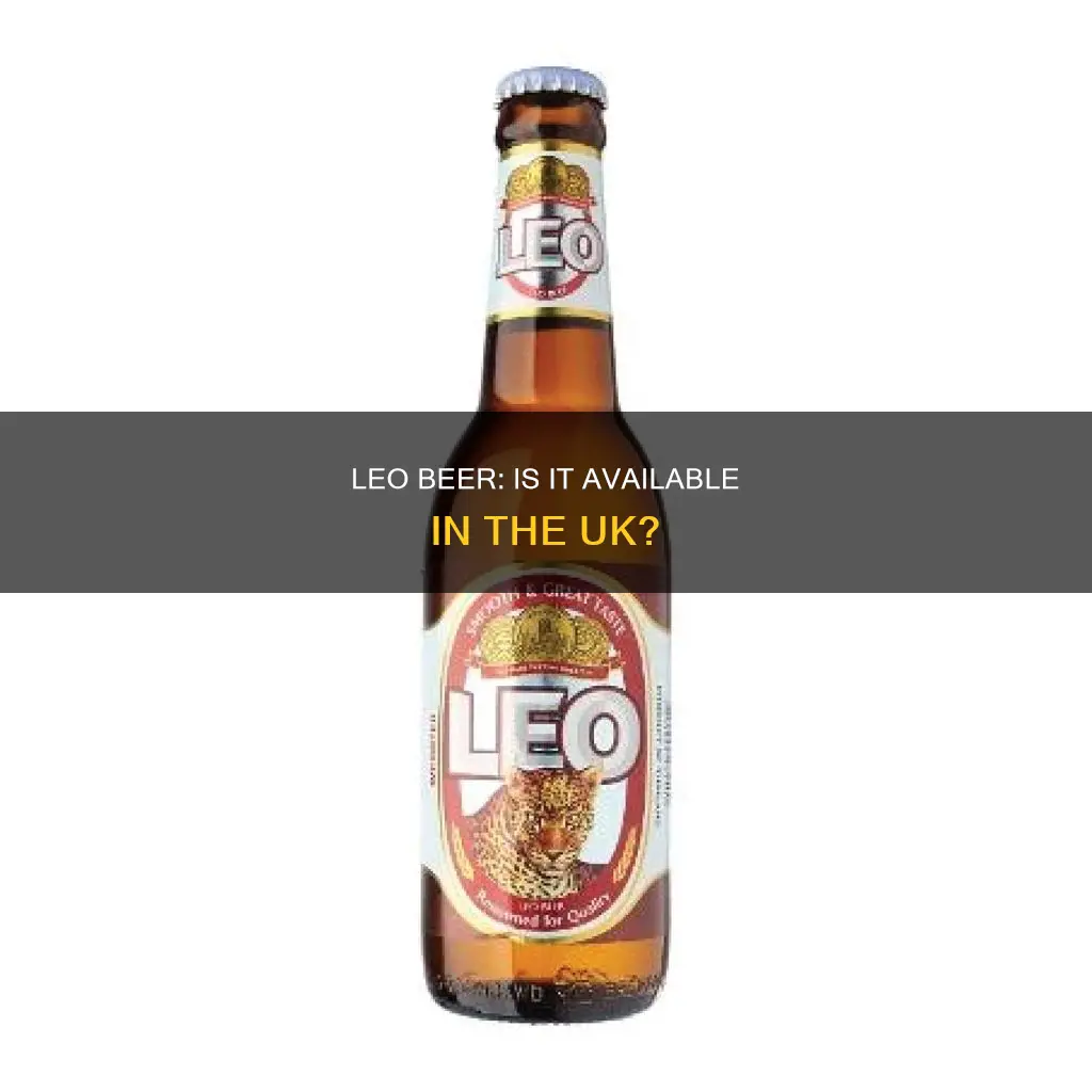 can you buy leo beer in the uk