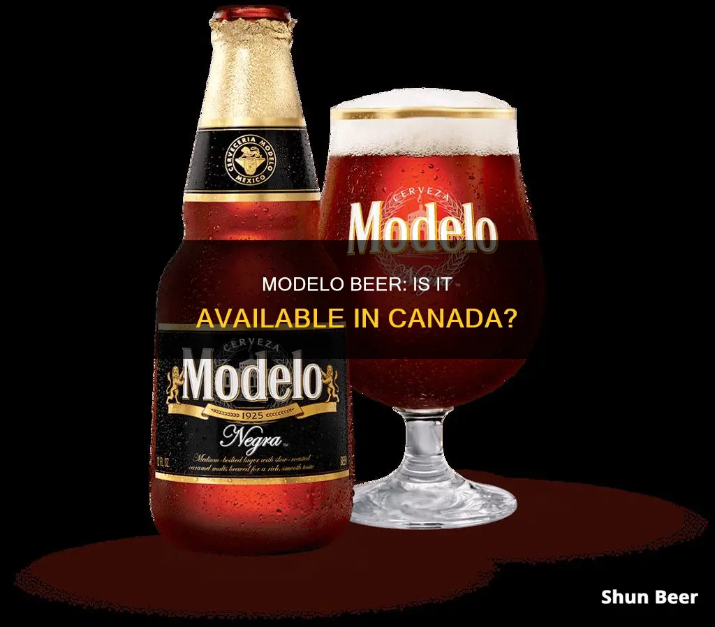 can you buy modelo beer in canada