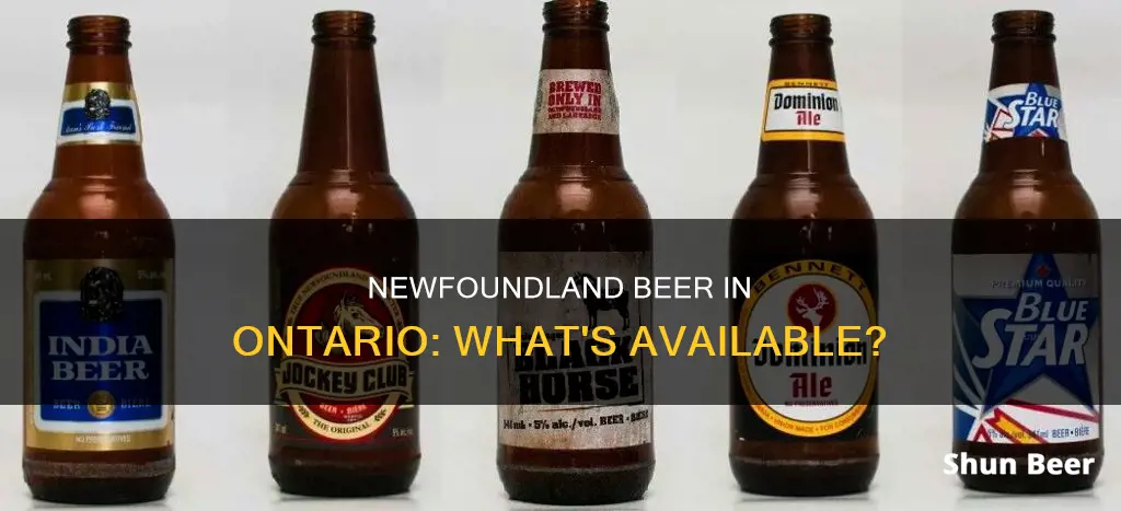 can you buy newfoundland beer in ontario