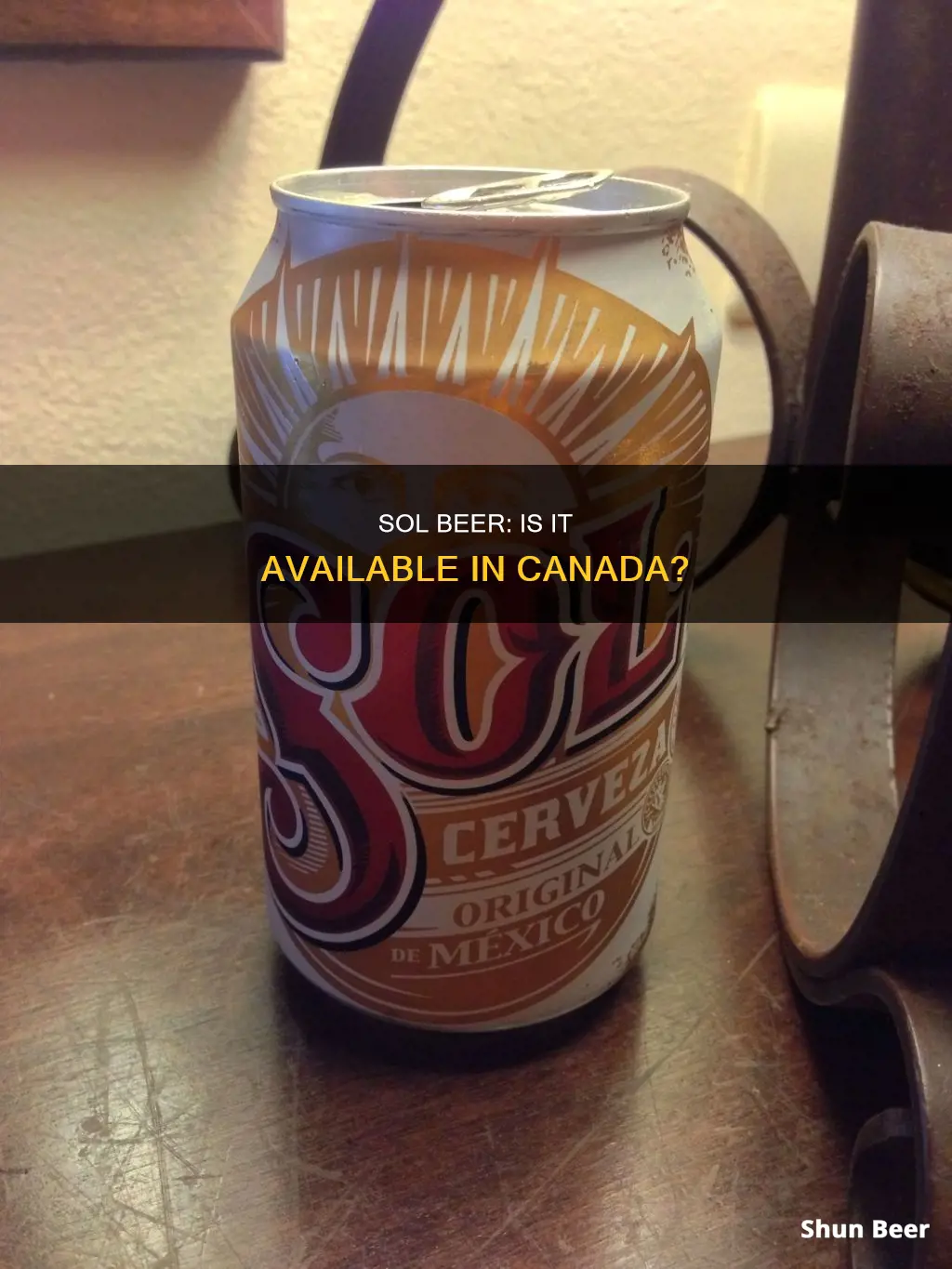 can you buy sol beer in canada