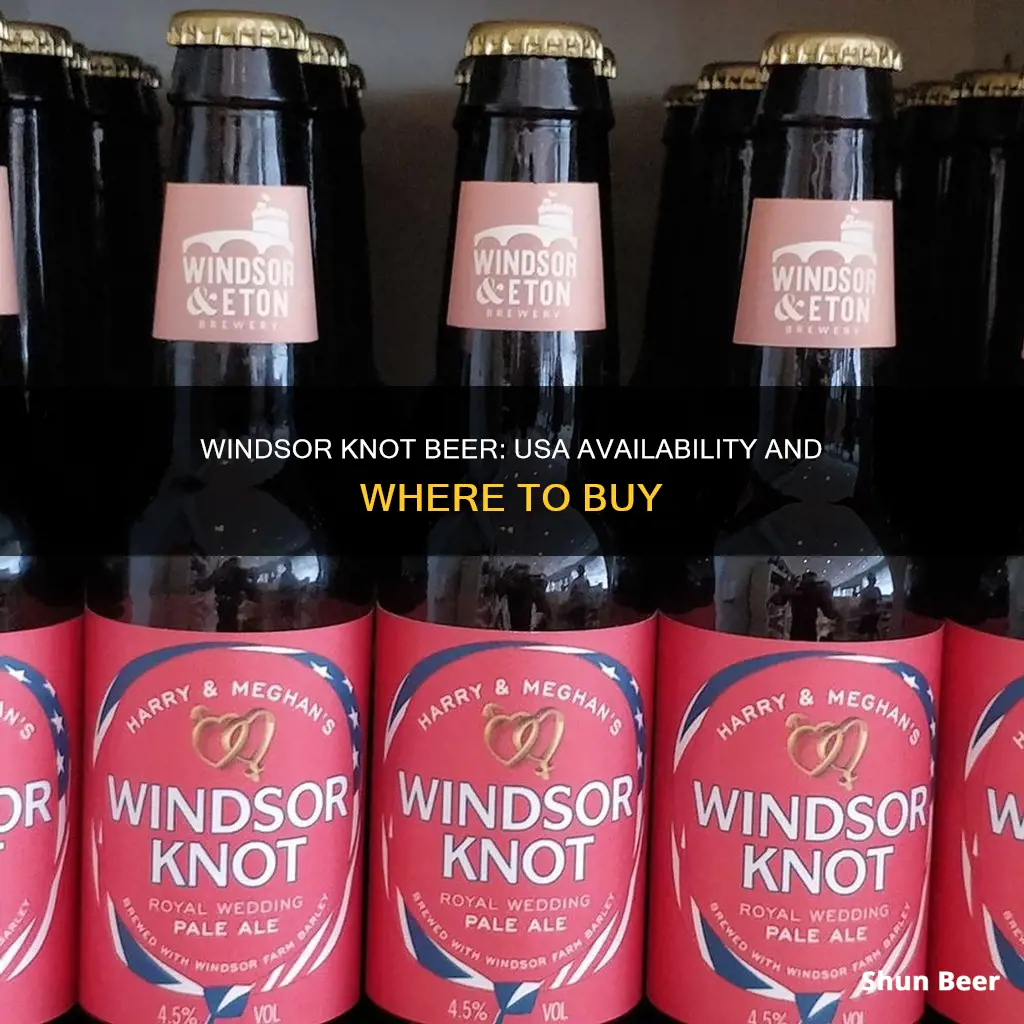 can you buy windsor knot beer in the usa