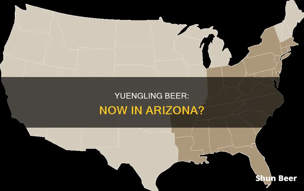 can you buy yuengling beer in arizona