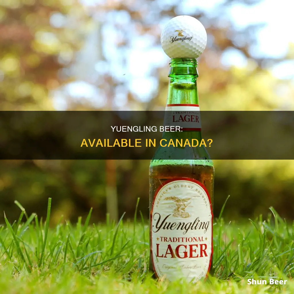 can you buy yuengling beer in canada