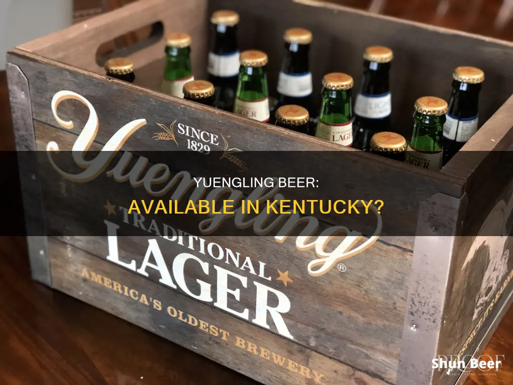 can you buy yuengling beer in kentucky