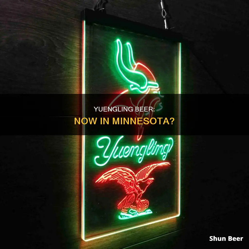 can you buy yuengling beer in minnesota